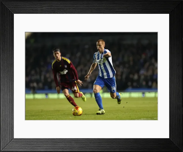 Framed Print : Steve Sidwell in Action: Brighton & Hove Albion vs. Ipswich Town, EFL Sky Bet Championship (14.02.2017) Framed Print : Steve Sidwell in Action: Brighton & Hove Albion vs. Ipswich Town, EFL Sky Bet Championship (14.02.2017)