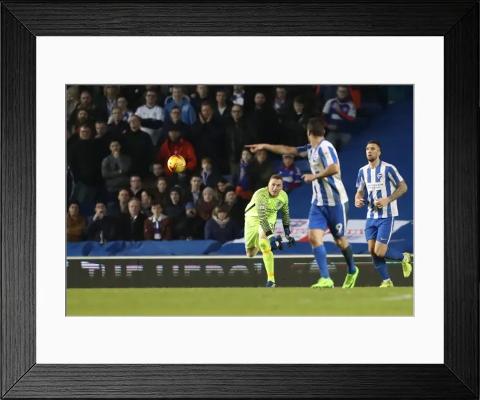 Framed Print : Brighton & Hove Albion vs Ipswich Town: David Stockdale Throws Ball Out in EFL Sky Bet Championship Clash (14 February 2017) Framed Print : Brighton & Hove Albion vs Ipswich Town: David Stockdale Throws Ball Out in EFL Sky Bet Championship Clash (14 February 2017)