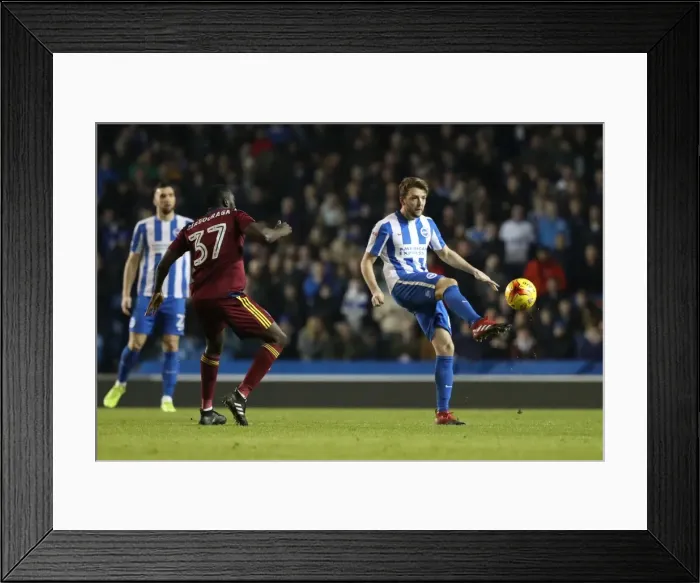 Framed Print : Dale Stephens: Central Midfielder in Action for Brighton & Hove Albion vs Ipswich Town, EFL Sky Bet Championship (14 February 2017) Framed Print : Dale Stephens: Central Midfielder in Action for Brighton & Hove Albion vs Ipswich Town, EFL Sky Bet Championship (14 February 2017)
