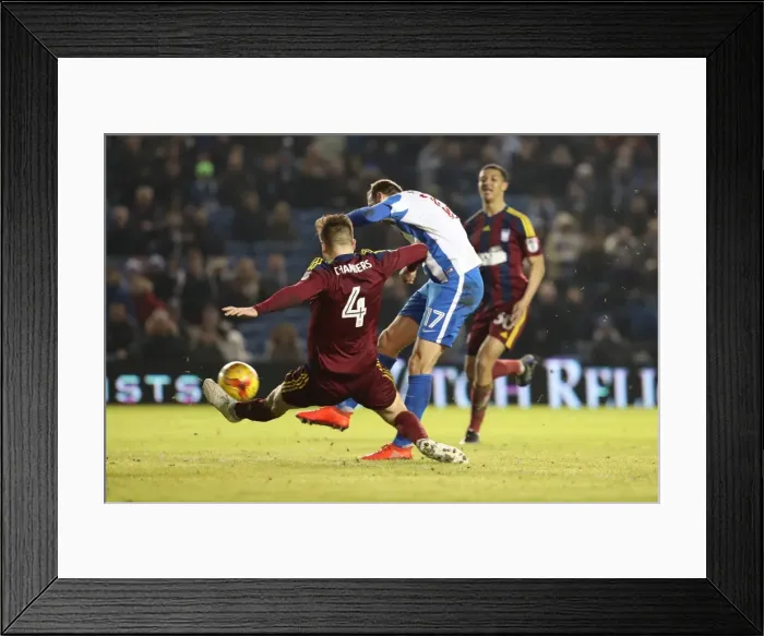 Framed Print : Brighton & Hove Albion's Glenn Murray Scores against Ipswich Town in EFL Sky Bet Championship (14 February 2017) Framed Print : Brighton & Hove Albion's Glenn Murray Scores against Ipswich Town in EFL Sky Bet Championship (14 February 2017)