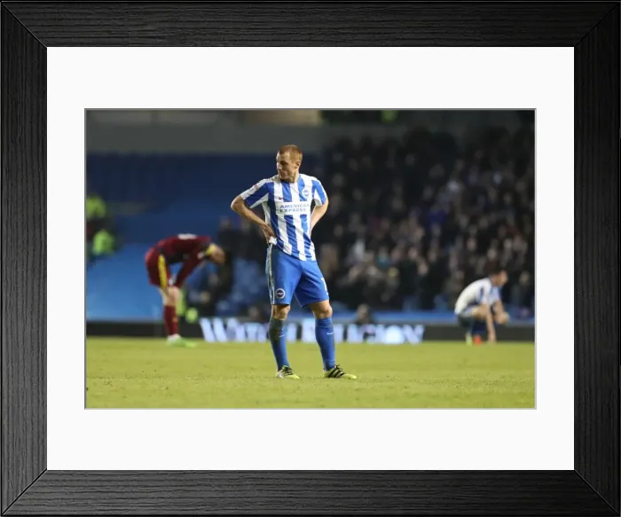 Framed Print : Brighton and Hove Albion vs Ipswich Town: EFL Sky Bet Championship Showdown at American Express Community Stadium (February 14, 2017) Framed Print : Brighton and Hove Albion vs Ipswich Town: EFL Sky Bet Championship Showdown at American Express Community Stadium (February 14, 2017)