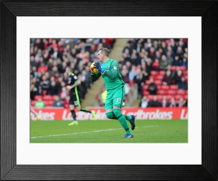 Framed Print : Intense Championship Showdown: Barnsley vs. Brighton and Hove Albion at Oakwell (18FEB17)