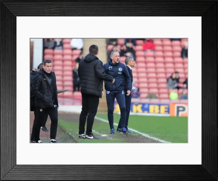 Framed Print : Championship Showdown: Barnsley vs. Brighton and Hove Albion (18FEB17) Framed Print : Championship Showdown: Barnsley vs. Brighton and Hove Albion (18FEB17)