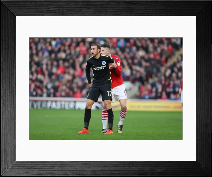 Framed Print : Championship Showdown: Barnsley vs. Brighton and Hove Albion at Oakwell (18FEB17) Framed Print : Championship Showdown: Barnsley vs. Brighton and Hove Albion at Oakwell (18FEB17)