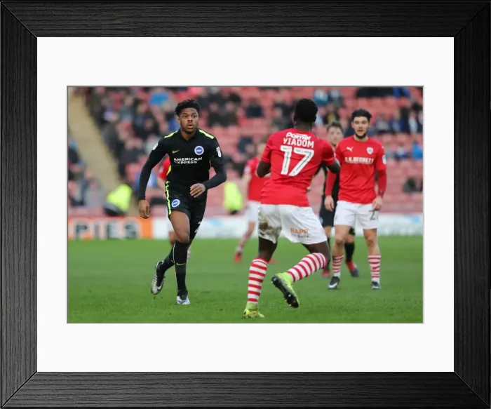 Framed Print : Intense Championship Showdown: Barnsley vs. Brighton and Hove Albion at Oakwell (18FEB17) Framed Print : Intense Championship Showdown: Barnsley vs. Brighton and Hove Albion at Oakwell (18FEB17)