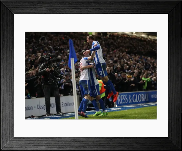 Framed Print : Intense Championship Showdown: Brighton and Hove Albion vs. Reading (25FEB17) Framed Print : Intense Championship Showdown: Brighton and Hove Albion vs. Reading (25FEB17)