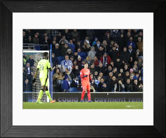 Framed Print : Intense Championship Showdown: Brighton and Hove Albion vs. Reading (25FEB17) Framed Print : Intense Championship Showdown: Brighton and Hove Albion vs. Reading (25FEB17)