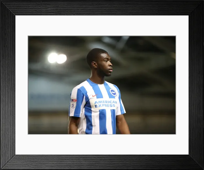Framed Print : Intense Championship Showdown: Brighton and Hove Albion vs. Reading (25FEB17) Framed Print : Intense Championship Showdown: Brighton and Hove Albion vs. Reading (25FEB17)