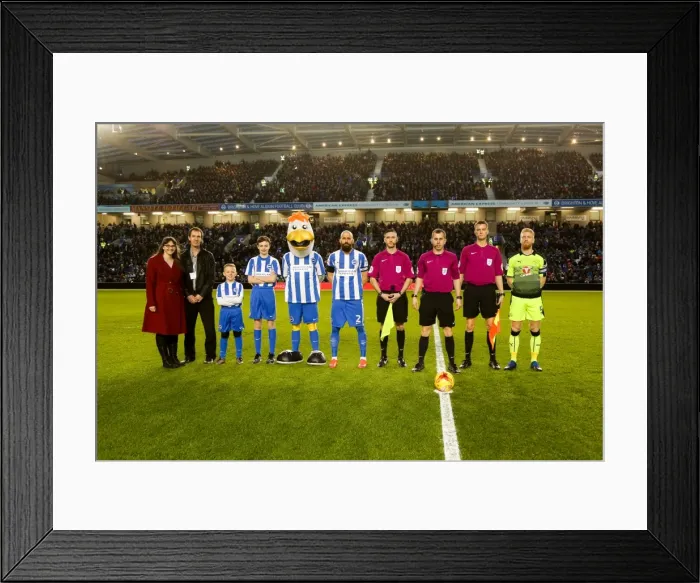 Framed Print : BHA, Centre Circle, Match Sponsor Framed Print : BHA, Centre Circle, Match Sponsor