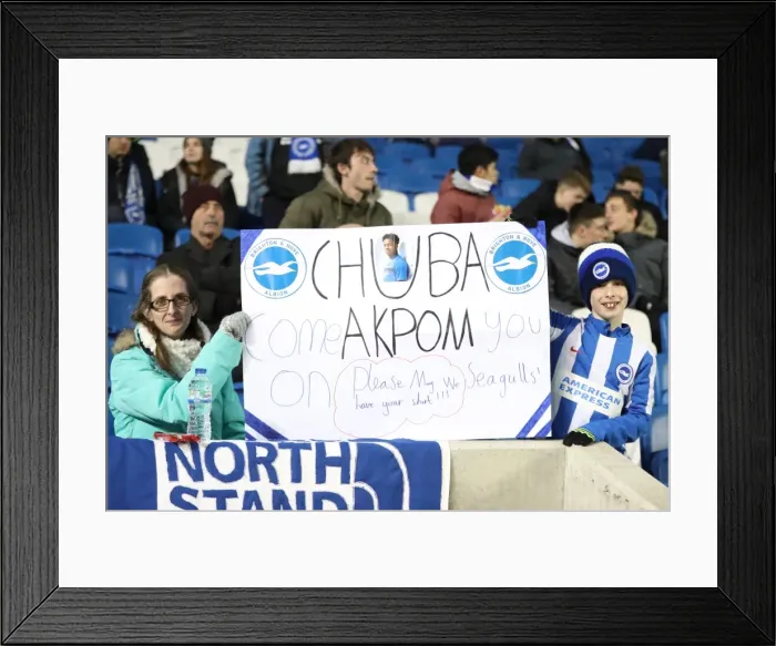 Framed Print : Brighton and Hove Albion vs. Newcastle United: A Tight Championship Showdown at the American Express Community Stadium (28FEB17)
