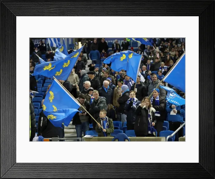 Framed Print : Brighton and Hove Albion vs. Newcastle United: A Tight Championship Showdown at the American Express Community Stadium (28FEB17) Framed Print : Brighton and Hove Albion vs. Newcastle United: A Tight Championship Showdown at the American Express Community Stadium (28FEB17)