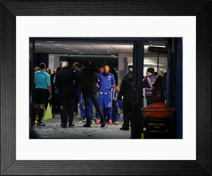 Framed Print : Brighton and Hove Albion vs. Newcastle United: A Tight Championship Showdown at the American Express Community Stadium (28Feb17) Framed Print : Brighton and Hove Albion vs. Newcastle United: A Tight Championship Showdown at the American Express Community Stadium (28Feb17)