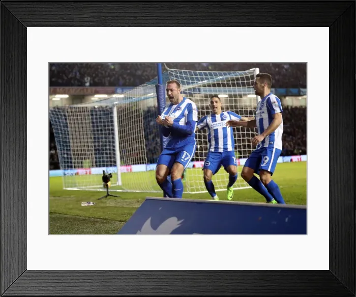 Framed Print : Tight Championship Clash: Brighton & Hove Albion vs. Newcastle United (28FEB17) Framed Print : Tight Championship Clash: Brighton & Hove Albion vs. Newcastle United (28FEB17)