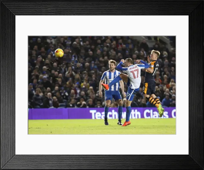 Framed Print : Thrilling EFL Sky Bet Championship Showdown: Brighton & Hove Albion vs. Newcastle United (28FEB17) Framed Print : Thrilling EFL Sky Bet Championship Showdown: Brighton & Hove Albion vs. Newcastle United (28FEB17)