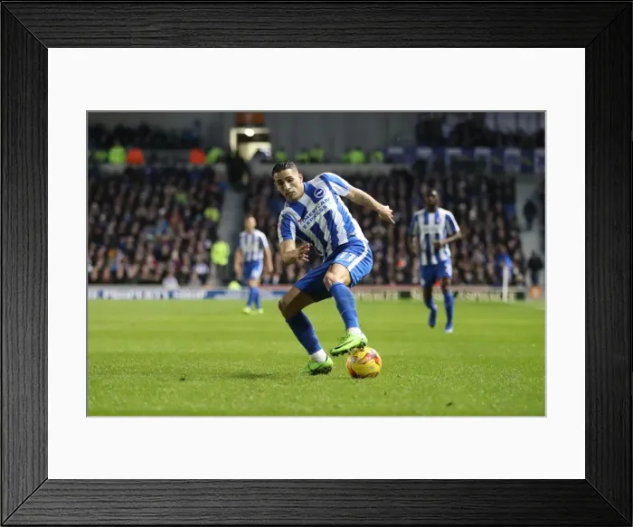 Framed Print : Brighton and Hove Albion vs. Newcastle United: A Tight Championship Showdown at the American Express Community Stadium (28FEB17) Framed Print : Brighton and Hove Albion vs. Newcastle United: A Tight Championship Showdown at the American Express Community Stadium (28FEB17)