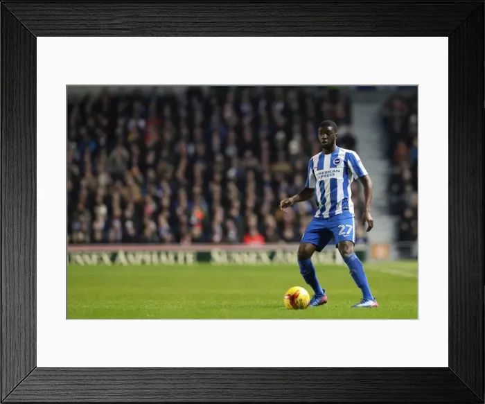 Framed Print : Brighton and Hove Albion vs. Newcastle United: A Tight Championship Showdown at the American Express Community Stadium (28FEB17) Framed Print : Brighton and Hove Albion vs. Newcastle United: A Tight Championship Showdown at the American Express Community Stadium (28FEB17)