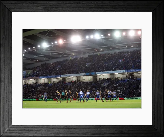 Framed Print : Brighton and Hove Albion vs. Newcastle United: A Tight Championship Battle at the American Express Community Stadium (28 February 2017) Framed Print : Brighton and Hove Albion vs. Newcastle United: A Tight Championship Battle at the American Express Community Stadium (28 February 2017)