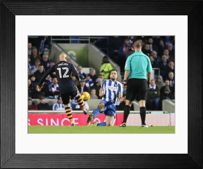 Framed Print : Brighton and Hove Albion vs. Newcastle United: A Tight Championship Showdown at the American Express Community Stadium (28th February 2017) Framed Print : Brighton and Hove Albion vs. Newcastle United: A Tight Championship Showdown at the American Express Community Stadium (28th February 2017)