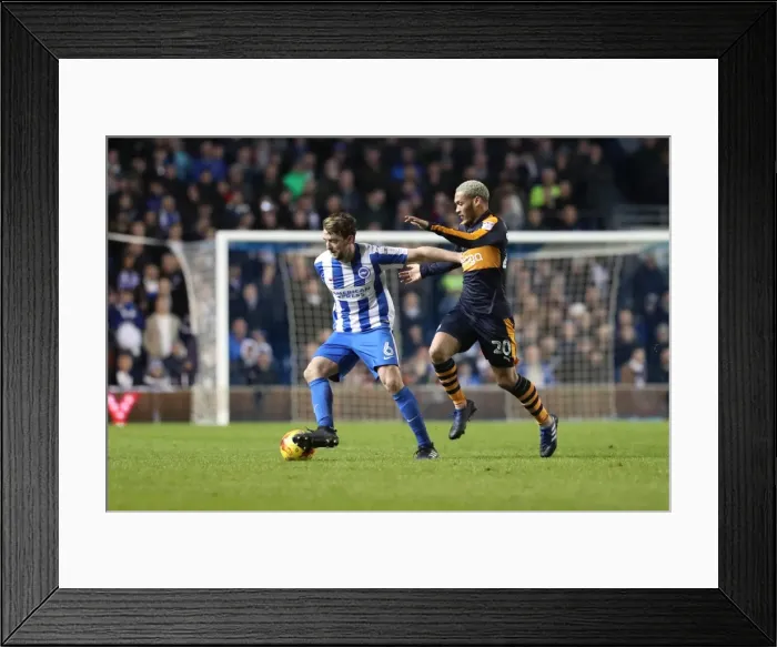 Framed Print : Brighton and Hove Albion vs. Newcastle United: A Tight Championship Showdown at the American Express Community Stadium (28 February 2017) Framed Print : Brighton and Hove Albion vs. Newcastle United: A Tight Championship Showdown at the American Express Community Stadium (28 February 2017)