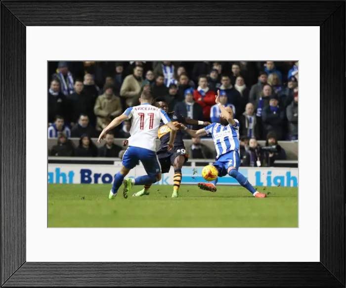 Framed Print : Brighton and Hove Albion vs. Newcastle United: A Tight Championship Battle at the American Express Community Stadium (28FEB17) Framed Print : Brighton and Hove Albion vs. Newcastle United: A Tight Championship Battle at the American Express Community Stadium (28FEB17)