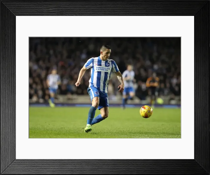 Framed Print : Brighton and Hove Albion vs. Newcastle United: A Tight Championship Battle at the American Express Community Stadium (28FEB17) Framed Print : Brighton and Hove Albion vs. Newcastle United: A Tight Championship Battle at the American Express Community Stadium (28FEB17)