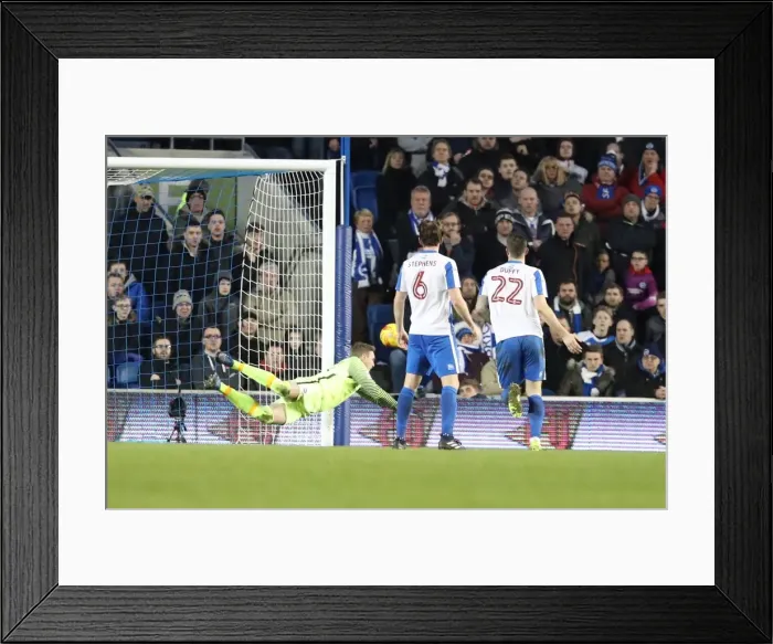 Framed Print : Brighton and Hove Albion vs. Newcastle United: A Tight Championship Showdown at Falmer Stadium (28FEB17) Framed Print : Brighton and Hove Albion vs. Newcastle United: A Tight Championship Showdown at Falmer Stadium (28FEB17)