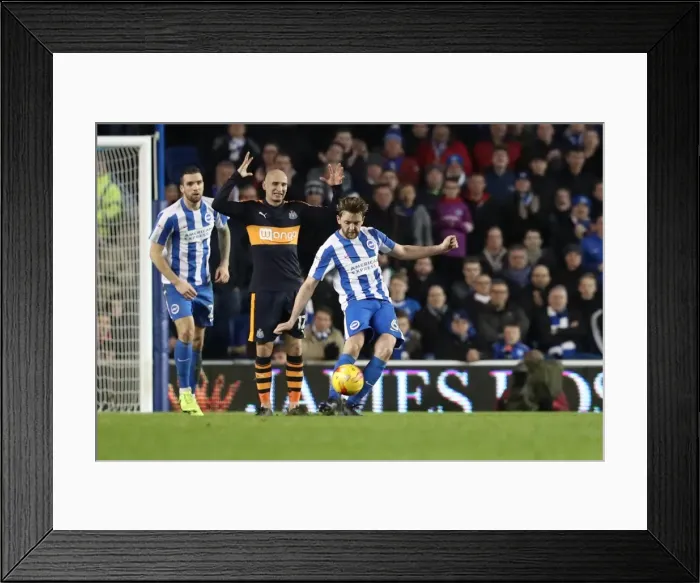 Framed Print : Brighton and Hove Albion vs. Newcastle United: A Tight EFL Championship Showdown at the American Express Community Stadium (28FEB17) Framed Print : Brighton and Hove Albion vs. Newcastle United: A Tight EFL Championship Showdown at the American Express Community Stadium (28FEB17)