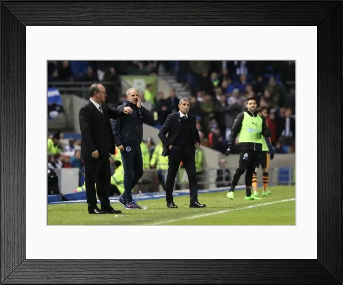 Framed Print : Championship Showdown: Brighton and Hove Albion vs. Newcastle United at American Express Community Stadium - February 28, 2017 Framed Print : Championship Showdown: Brighton and Hove Albion vs. Newcastle United at American Express Community Stadium - February 28, 2017