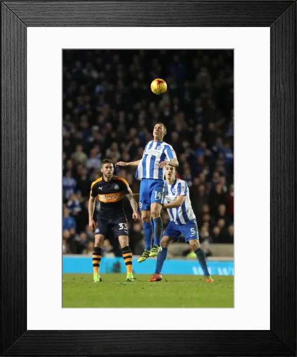 Framed Print : Brighton and Hove Albion vs. Newcastle United: A Tight Championship Showdown at the American Express Community Stadium (28FEB17)