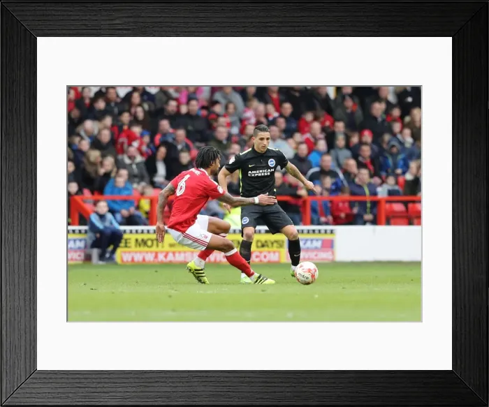 Framed Print : Brighton and Hove Albion vs. Nottingham Forest: EFL Sky Bet Championship Clash at City Ground (04MAR17) - Match Action Framed Print : Brighton and Hove Albion vs. Nottingham Forest: EFL Sky Bet Championship Clash at City Ground (04MAR17) - Match Action