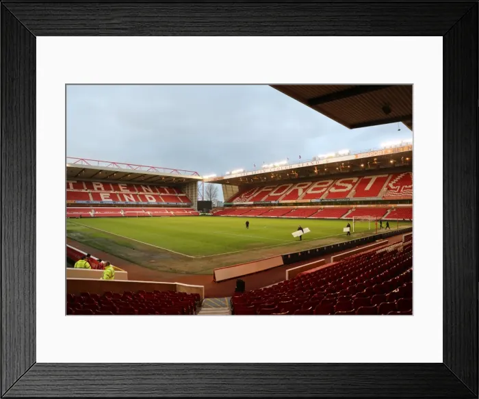 Framed Print : Brighton and Hove Albion vs. Nottingham Forest: EFL Sky Bet Championship Showdown at City Ground (04MAR17)