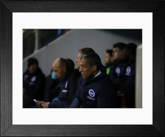 Framed Print : Brighton and Hove Albion's Triumphant Championship Win Against Rotherham United (07MAR17) Framed Print : Brighton and Hove Albion's Triumphant Championship Win Against Rotherham United (07MAR17)