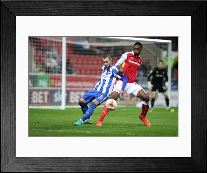 Framed Print : Brighton and Hove Albion Celebrate Championship Victory at Rotherham United (07MAR17) Framed Print : Brighton and Hove Albion Celebrate Championship Victory at Rotherham United (07MAR17)