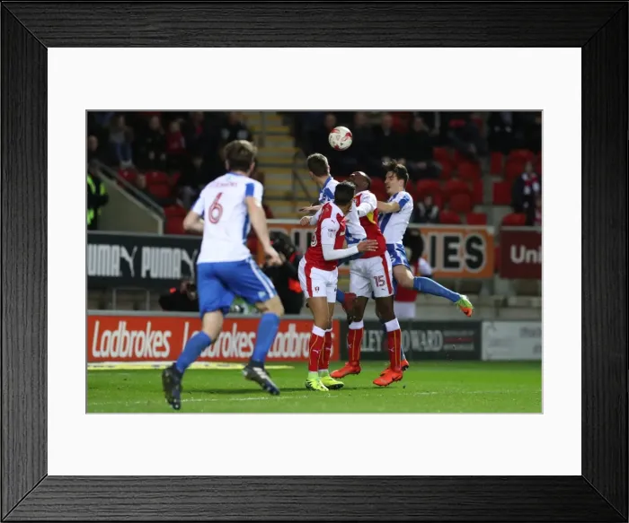 Framed Print : Brighton and Hove Albion vs. Rotherham United: EFL Sky Bet Championship Clash (07MAR17) Framed Print : Brighton and Hove Albion vs. Rotherham United: EFL Sky Bet Championship Clash (07MAR17)