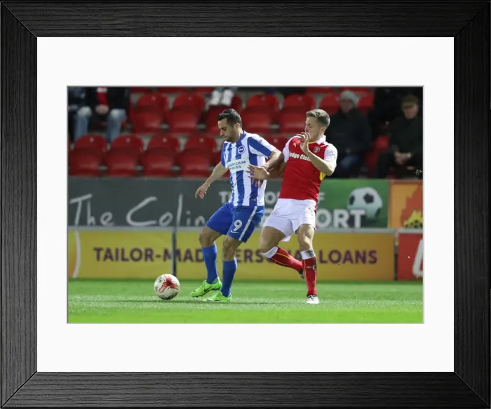 Framed Print : Brighton and Hove Albion Celebrate Championship Victory at Rotherham United (07MAR17) Framed Print : Brighton and Hove Albion Celebrate Championship Victory at Rotherham United (07MAR17)