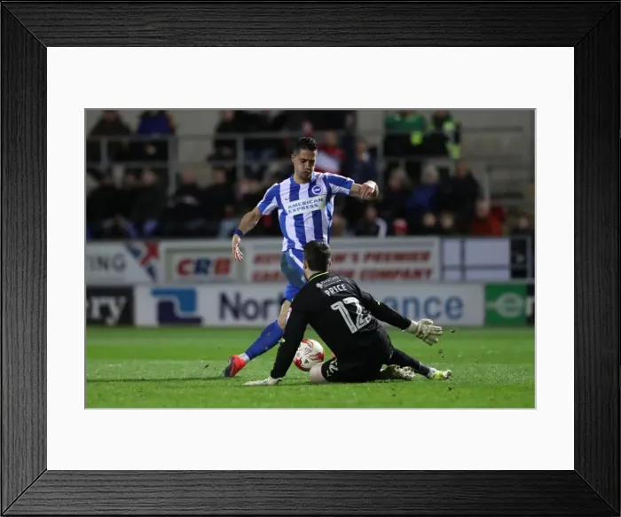 Framed Print : Brighton and Hove Albion Clinch Championship Victory at Rotherham United (07MAR17) Framed Print : Brighton and Hove Albion Clinch Championship Victory at Rotherham United (07MAR17)