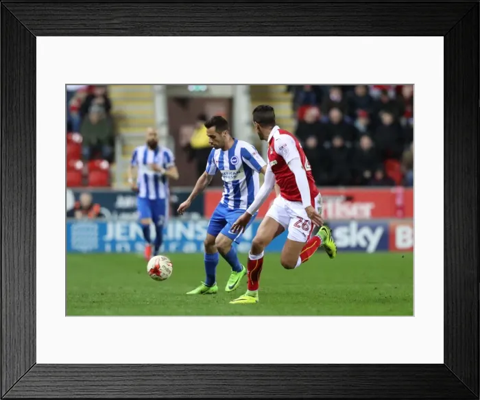 Framed Print : Brighton and Hove Albion vs. Rotherham United: EFL Sky Bet Championship Clash (07MAR17) Framed Print : Brighton and Hove Albion vs. Rotherham United: EFL Sky Bet Championship Clash (07MAR17)