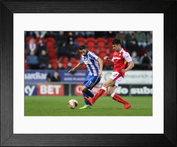 Framed Print : Brighton and Hove Albion's March Victory over Rotherham United in Sky Bet Championship Framed Print : Brighton and Hove Albion's March Victory over Rotherham United in Sky Bet Championship