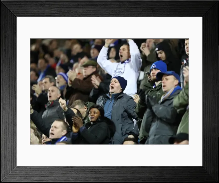 Framed Print : Brighton and Hove Albion's Victory Over Rotherham United in the EFL Sky Bet Championship (07MAR17) Framed Print : Brighton and Hove Albion's Victory Over Rotherham United in the EFL Sky Bet Championship (07MAR17)