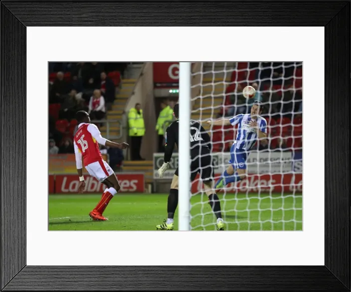 Framed Print : Brighton and Hove Albion vs Rotherham United: EFL Sky Bet Championship Clash at Aesseal New York Stadium (07MAR17) Framed Print : Brighton and Hove Albion vs Rotherham United: EFL Sky Bet Championship Clash at Aesseal New York Stadium (07MAR17)