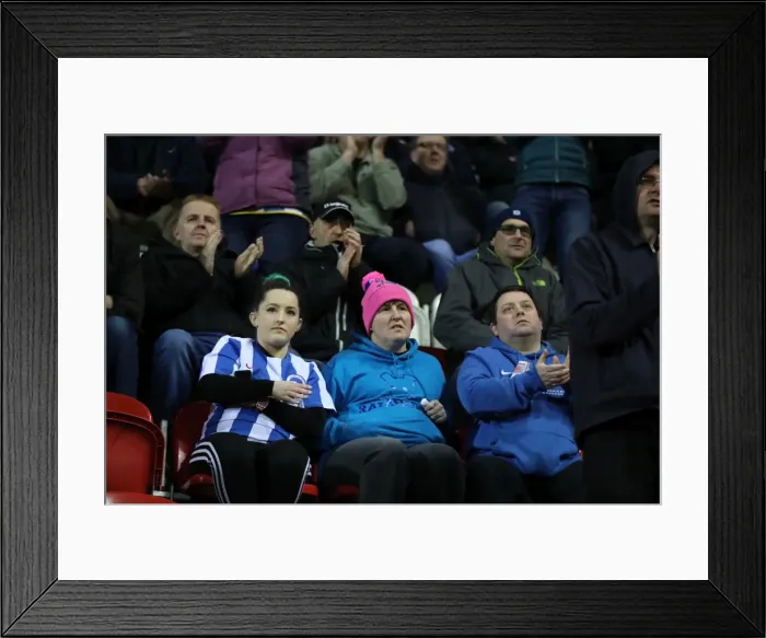 Framed Print : Brighton and Hove Albion Clinch Championship Victory at Rotherham United (07MAR17) Framed Print : Brighton and Hove Albion Clinch Championship Victory at Rotherham United (07MAR17)