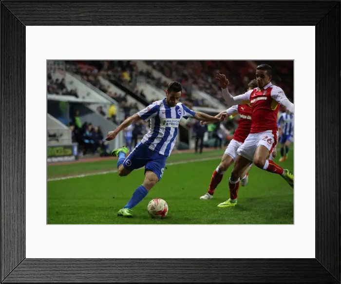 Framed Print : Brighton and Hove Albion Celebrate Championship Victory over Rotherham United (07MAR17) Framed Print : Brighton and Hove Albion Celebrate Championship Victory over Rotherham United (07MAR17)