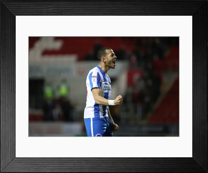 Framed Print : Brighton and Hove Albion's Championship Triumph at Rotherham United (07MAR17) Framed Print : Brighton and Hove Albion's Championship Triumph at Rotherham United (07MAR17)