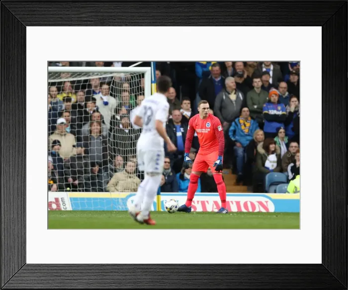 Framed Print : Championship Showdown: Leeds United vs. Brighton and Hove Albion at Elland Road (18MAR17) Framed Print : Championship Showdown: Leeds United vs. Brighton and Hove Albion at Elland Road (18MAR17)