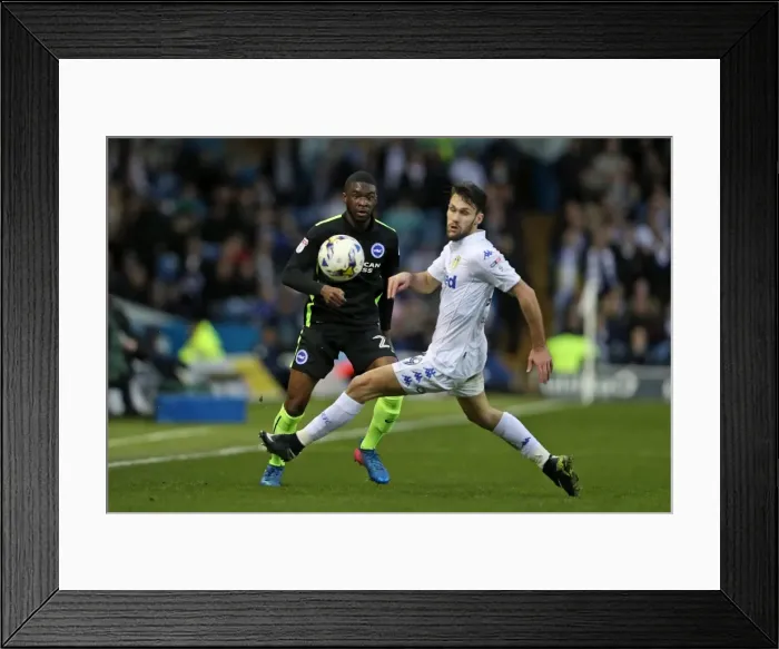 Framed Print : March Clash: Leeds United vs. Brighton and Hove Albion in EFL Sky Bet Championship (18MAR17) Framed Print : March Clash: Leeds United vs. Brighton and Hove Albion in EFL Sky Bet Championship (18MAR17)