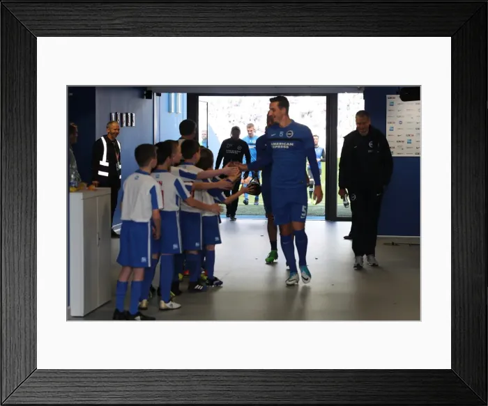 Framed Print : Brighton and Hove Albion v Blackburn Rovers EFL Sky Bet Championship 01APR17 Framed Print : Brighton and Hove Albion v Blackburn Rovers EFL Sky Bet Championship 01APR17