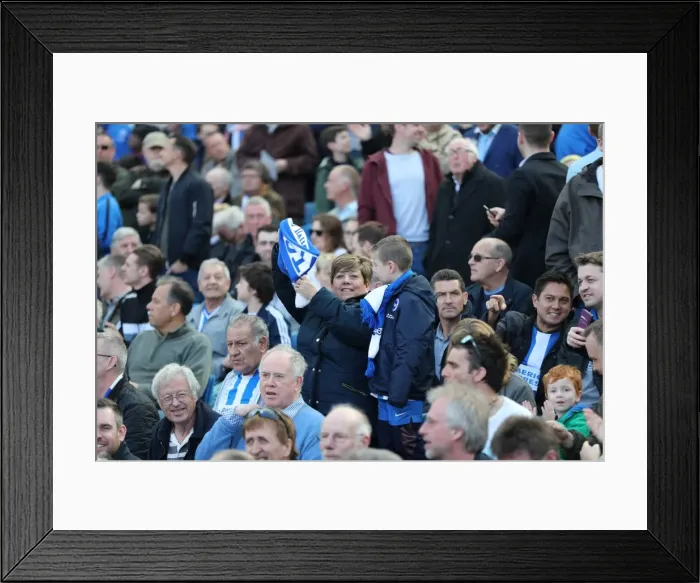 Framed Print : Brighton and Hove Albion vs. Blackburn Rovers: EFL Sky Bet Championship Showdown at American Express Community Stadium (April 1, 2017)
