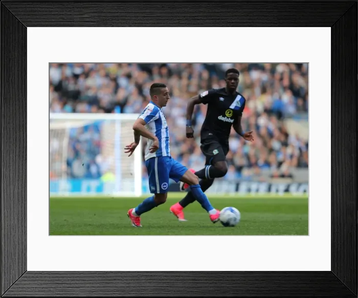Framed Print : Brighton and Hove Albion vs. Blackburn Rovers: EFL Sky Bet Championship Showdown at American Express Community Stadium (April 1, 2017)