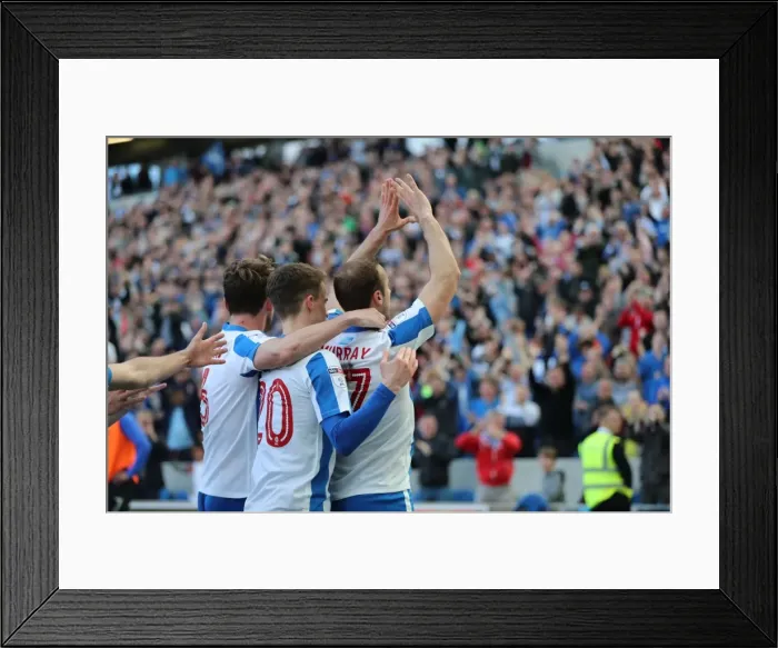 Framed Print : Brighton and Hove Albion vs. Blackburn Rovers: EFL Sky Bet Championship Showdown at American Express Community Stadium (April 1, 2017) Framed Print : Brighton and Hove Albion vs. Blackburn Rovers: EFL Sky Bet Championship Showdown at American Express Community Stadium (April 1, 2017)