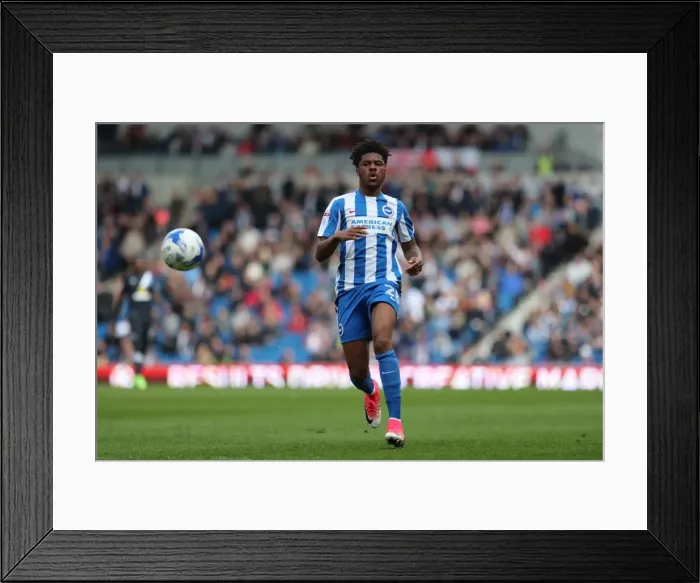 Framed Print : Brighton and Hove Albion vs. Blackburn Rovers: A Fierce EFL Sky Bet Championship Clash at the American Express Community Stadium (01APR17)